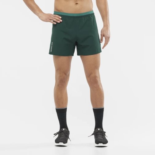 Green Salomon Cross 5'' Men's Shorts | PH 38691W